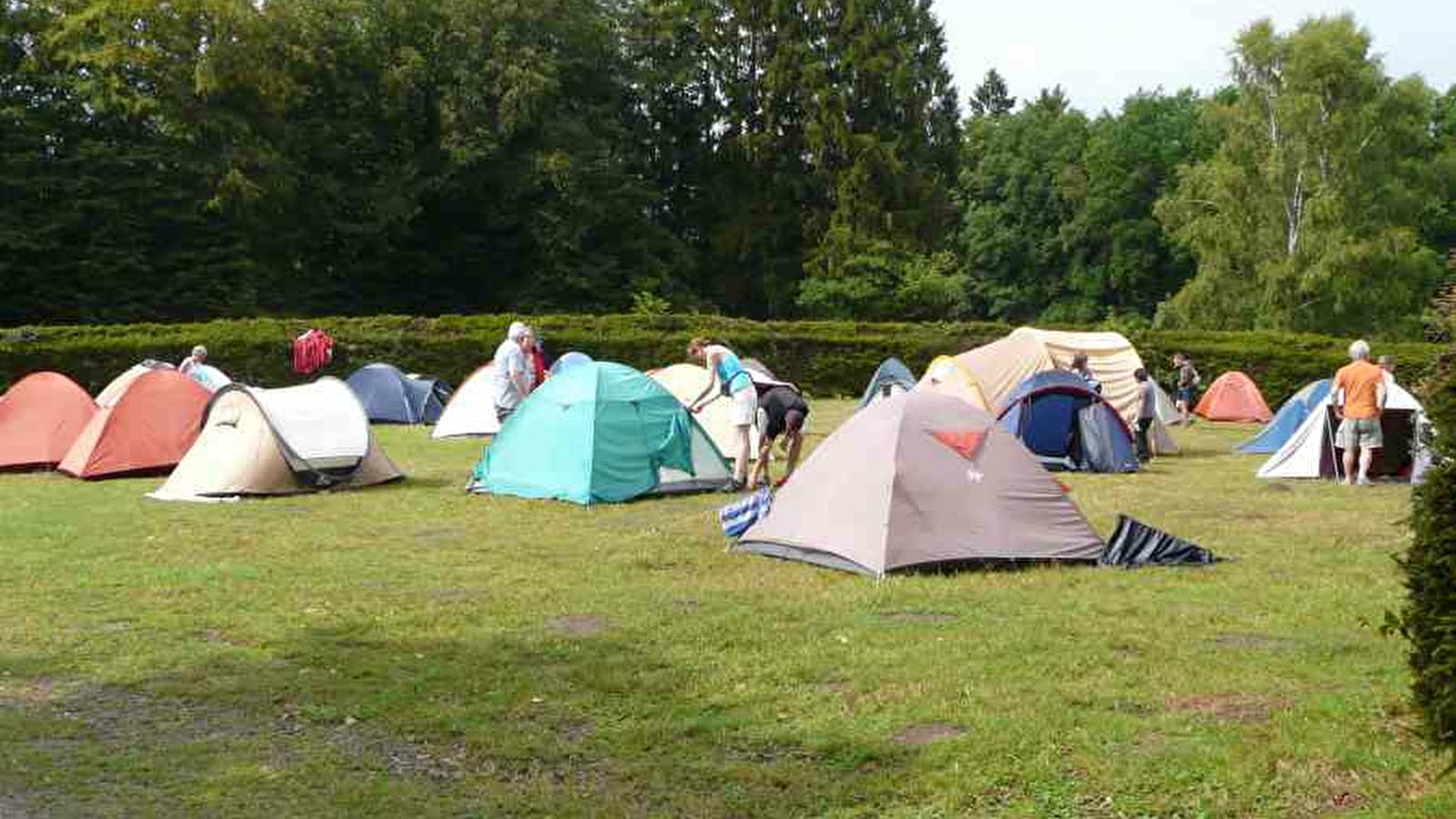 Camping Lac des Settons Morvan - Activital