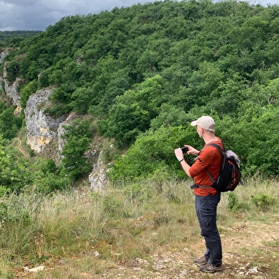 Les Chemins du Vivant