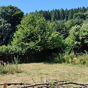 Plumes de Mouton - GLUX-EN-GLENNE