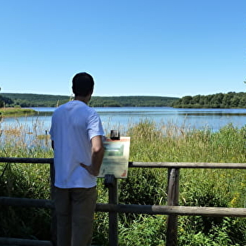 Sentier de la nature du Domaine des Grands Prés - SAINT-AGNAN
