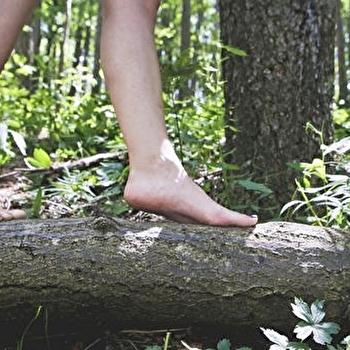 Echappée Morvan d'Ailes - Rando pieds nus - LA COMELLE