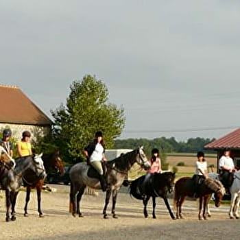 Centre équestre les Ecuries du Chêne - CHATEAU-CHINON (CAMPAGNE)