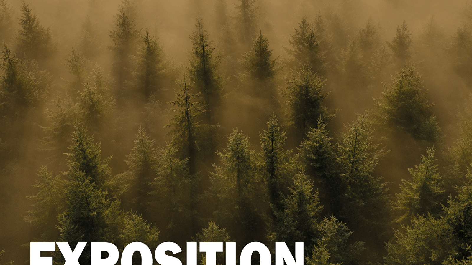 Exposition photo – REGARD SUR LE MORVAN