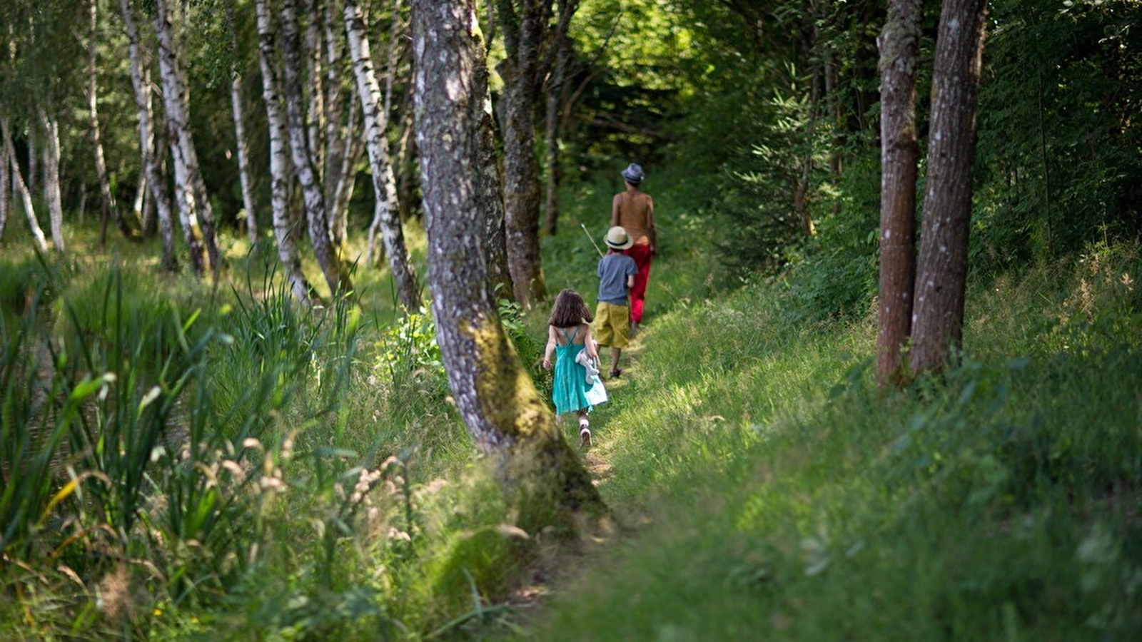 Balades et randonnées à pied en Morvan