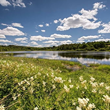Sentier de découverte de l'étang Taureau  - SAINT-BRISSON