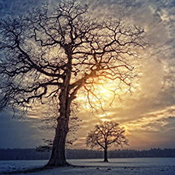 Veillée symbolique : Le solstice d'hiver Yule et les fêtes de Noël  - MARIGNY-L'EGLISE