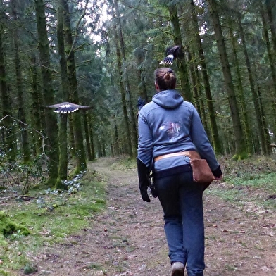 L'Echappée Morvan d'Ailes - Rando en liberté