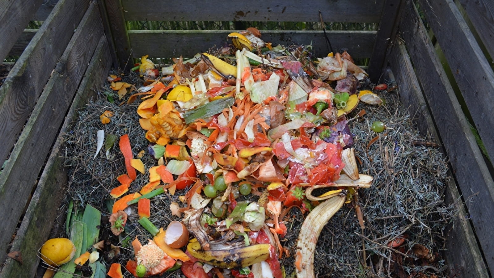 Les déchets organiques, un trésor pour le jardin. Initiation au compostage.