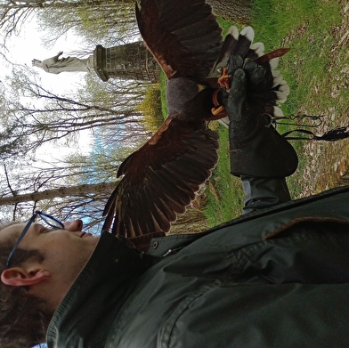 L'Echappée Morvan d'Ailes - Randonnée insolite