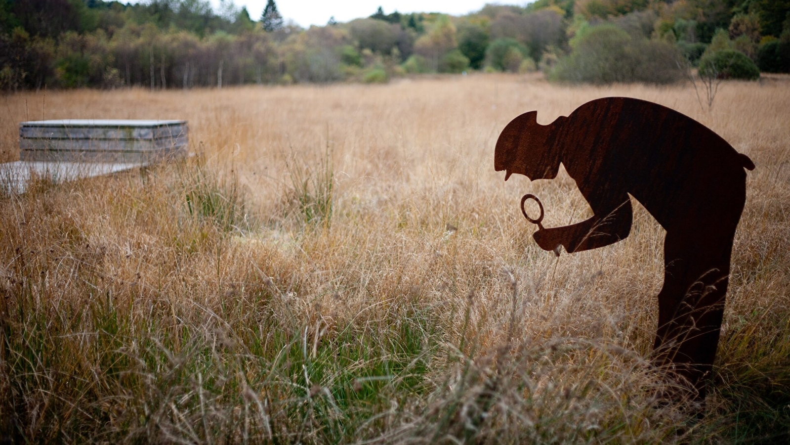 Balade nature 'Fragile tourbière, les sources de l'Yonne'
