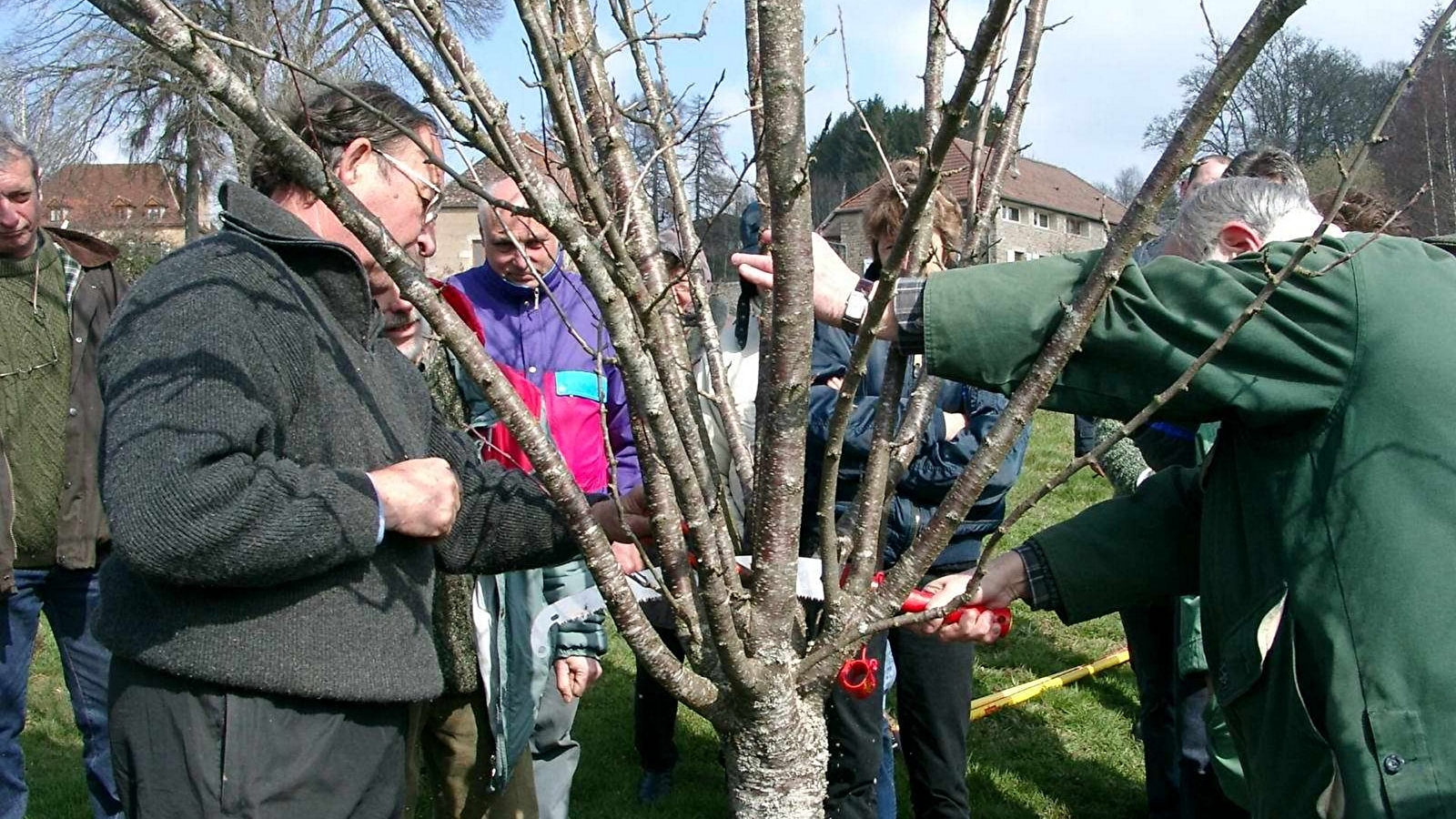 Stage verger : insectes et maladies au verger