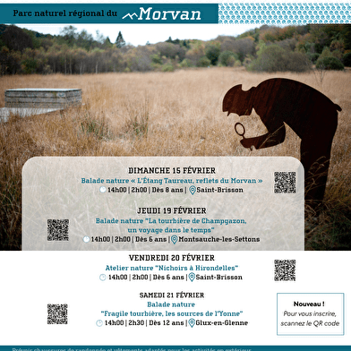 Balade nature 'Fragile tourbière, les sources de l'Yonne'