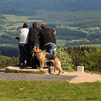 Toutou't'à pied : une balade qui a du chien à Bibracte ! - SAINT-LEGER-SOUS-BEUVRAY