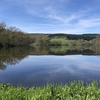 Vers les pâtures du sud Morvan  - SAINT-LEGER-SOUS-BEUVRAY