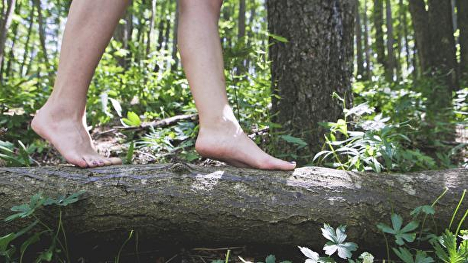 Echappée Morvan d'Ailes - Rando pieds nus
