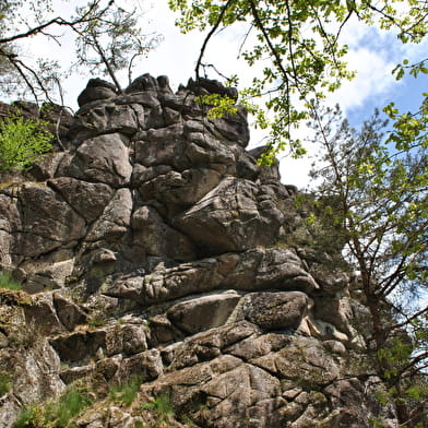 Site d'escalade du Rocher du Chien