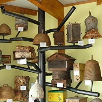 Ecomusée de l'Abeille  - CHATEAU-CHINON (CAMPAGNE)