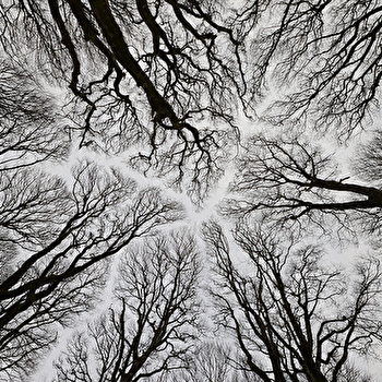 Ateliers de courts métrages sur le site archéologique de Bibracte - SAINT-LEGER-SOUS-BEUVRAY