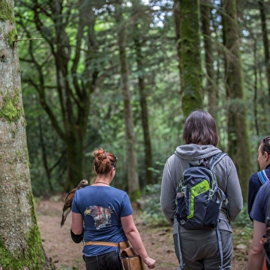 L'Echappée Morvan d'Ailes - Rando en liberté