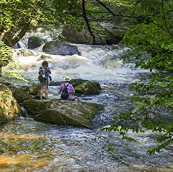 La vallée du Chalaux - CHALAUX