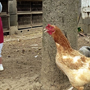 Rencontre-projection par le photographe Philippe Bazin à Bibracte - SAINT-LEGER-SOUS-BEUVRAY