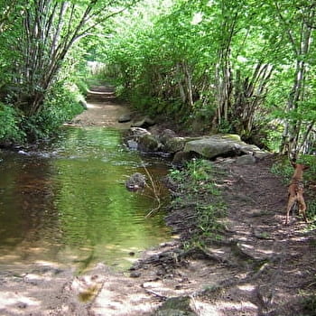 La Balade de Nestor à Lormes - LORMES