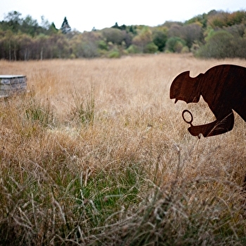 Balade nature 'Fragile tourbière, les sources de l'Yonne' - GLUX-EN-GLENNE