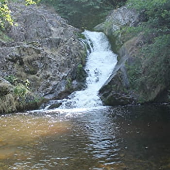 Maison des Grands Lacs - MONTSAUCHE-LES-SETTONS