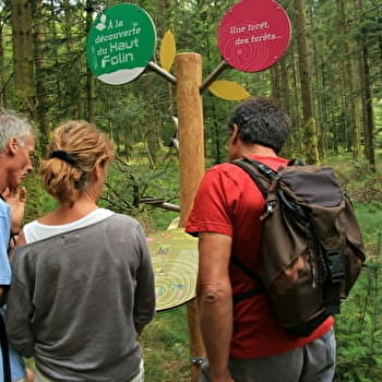 A la découverte du Haut Folin - ARLEUF