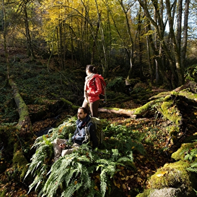 Balades et randonnées à pied en Morvan