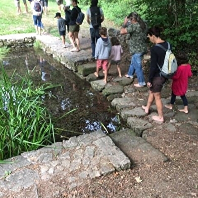 Echappée Morvan d'Ailes - Rando pieds nus